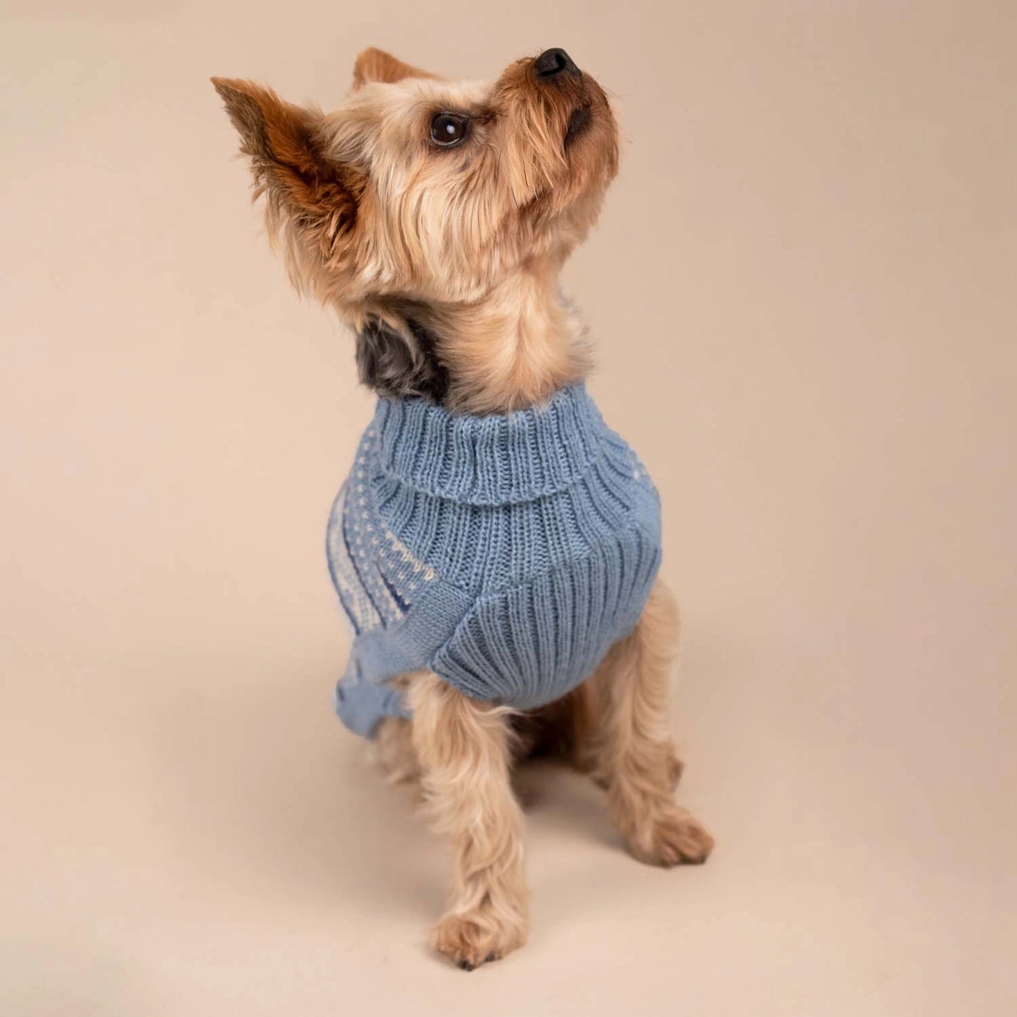 Pull pour chien en alpaga Skyline