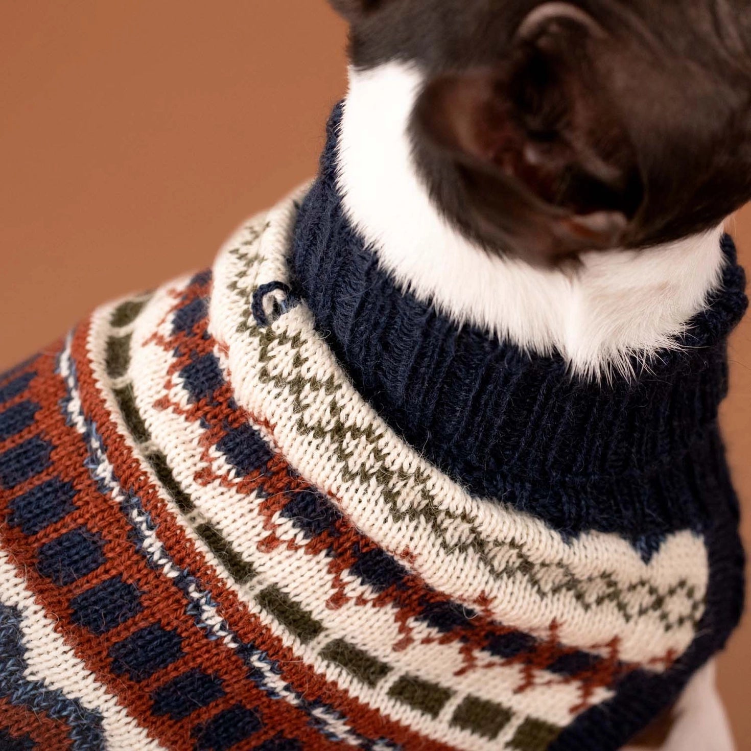 Pull pour chien en alpaga Iceberg