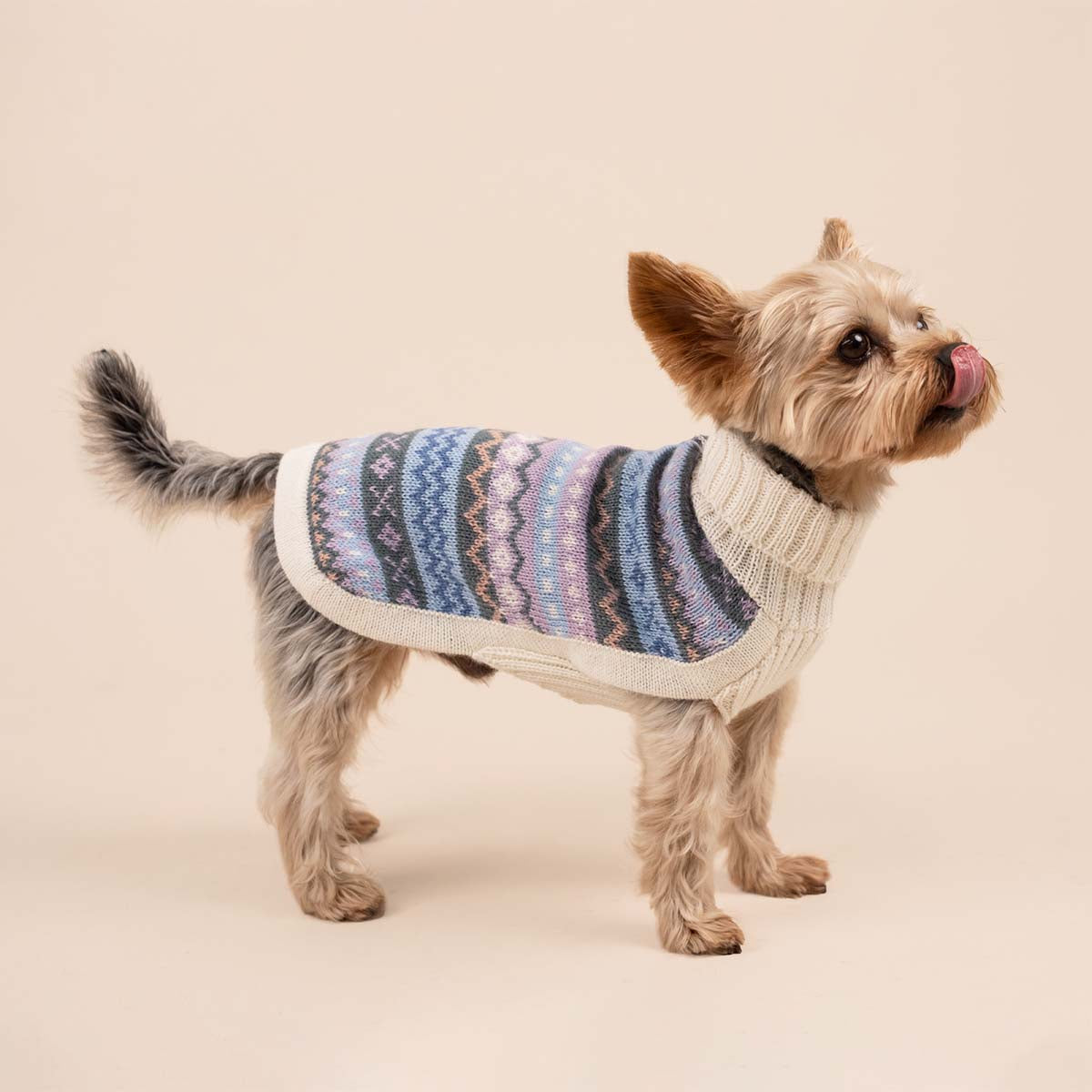 Pull pour chien en alpaga Cloudform