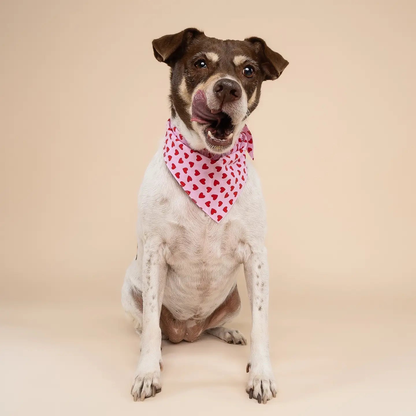 Bandana motif coeur rose