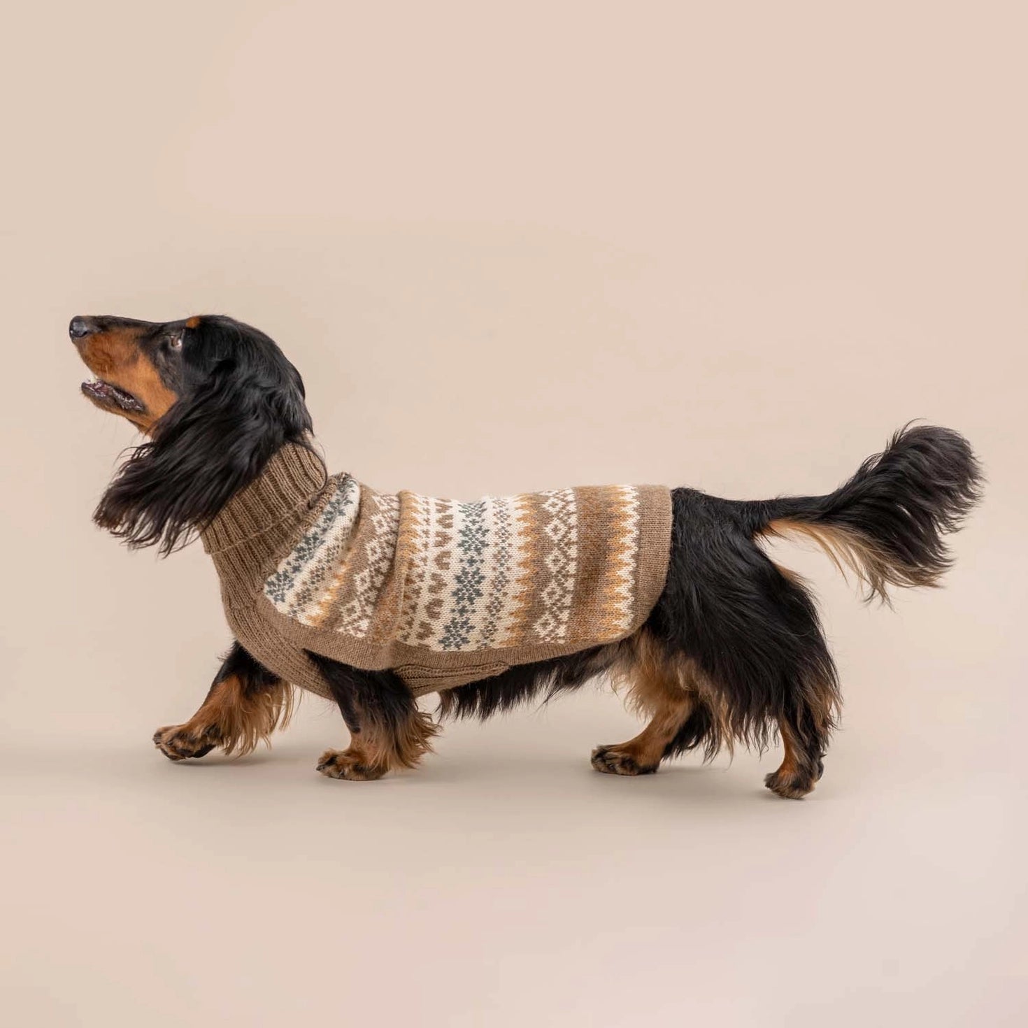 Pull pour chien en alpaga Automne