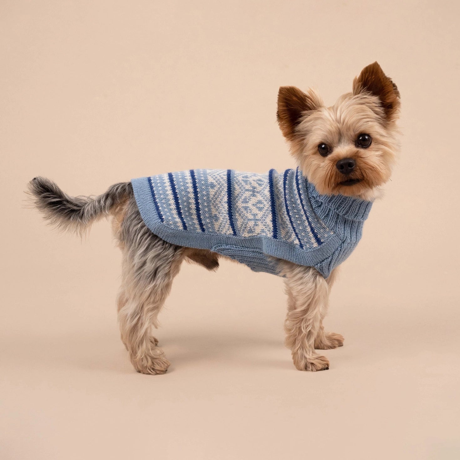 Pull pour chien en alpaga Skyline