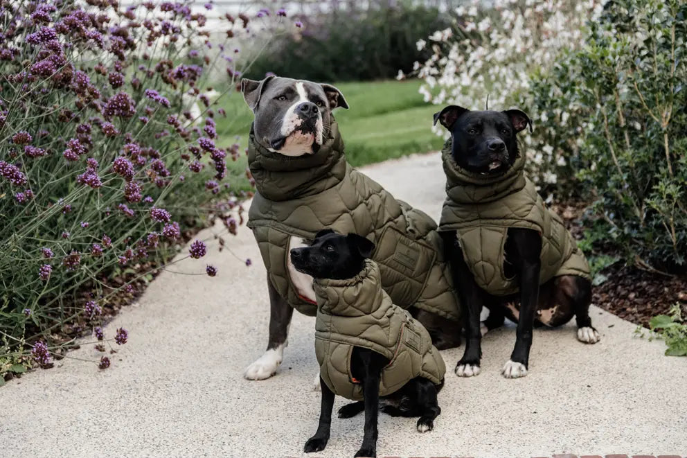 Manteau d'hiver Pina