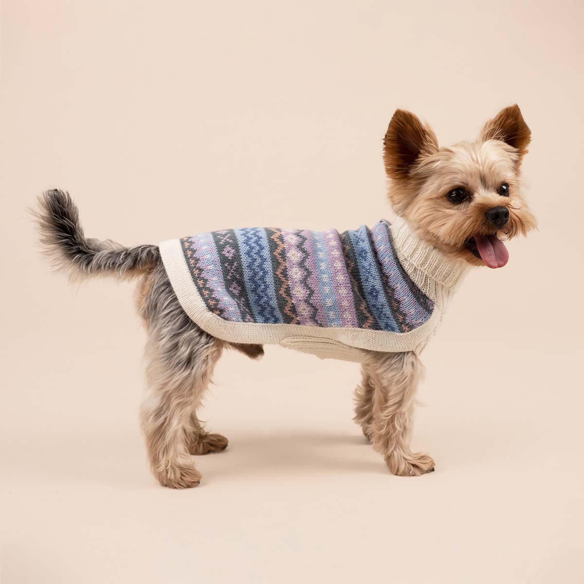 Pull pour chien en alpaga Cloudform