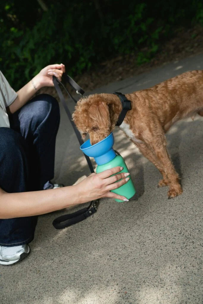 Gourde de voyage bi-colore rétractable