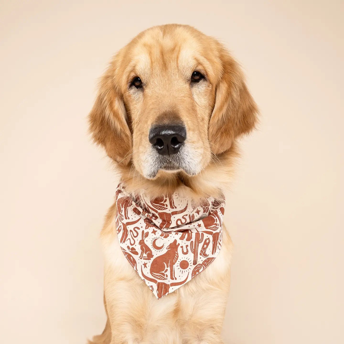 Bandana motif far west