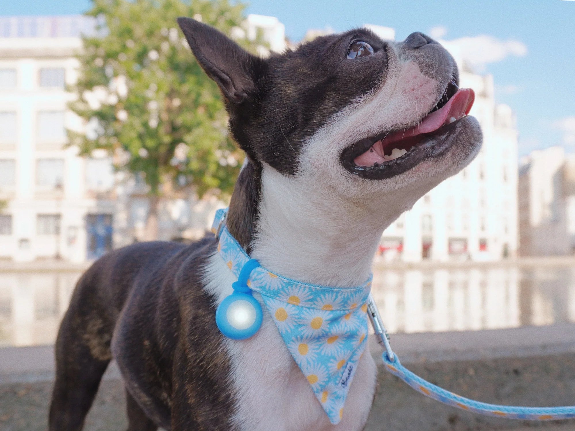 Pendentif lumineux pour balades nocturnes