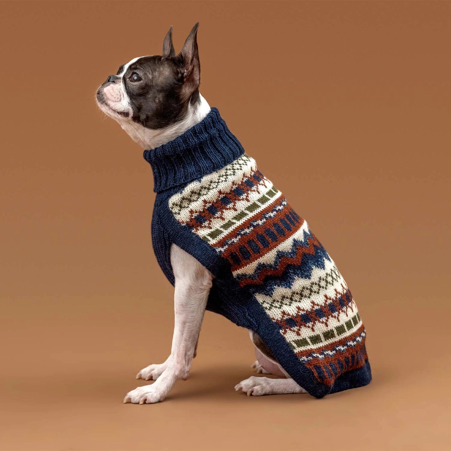 Pull pour chien en alpaga Iceberg