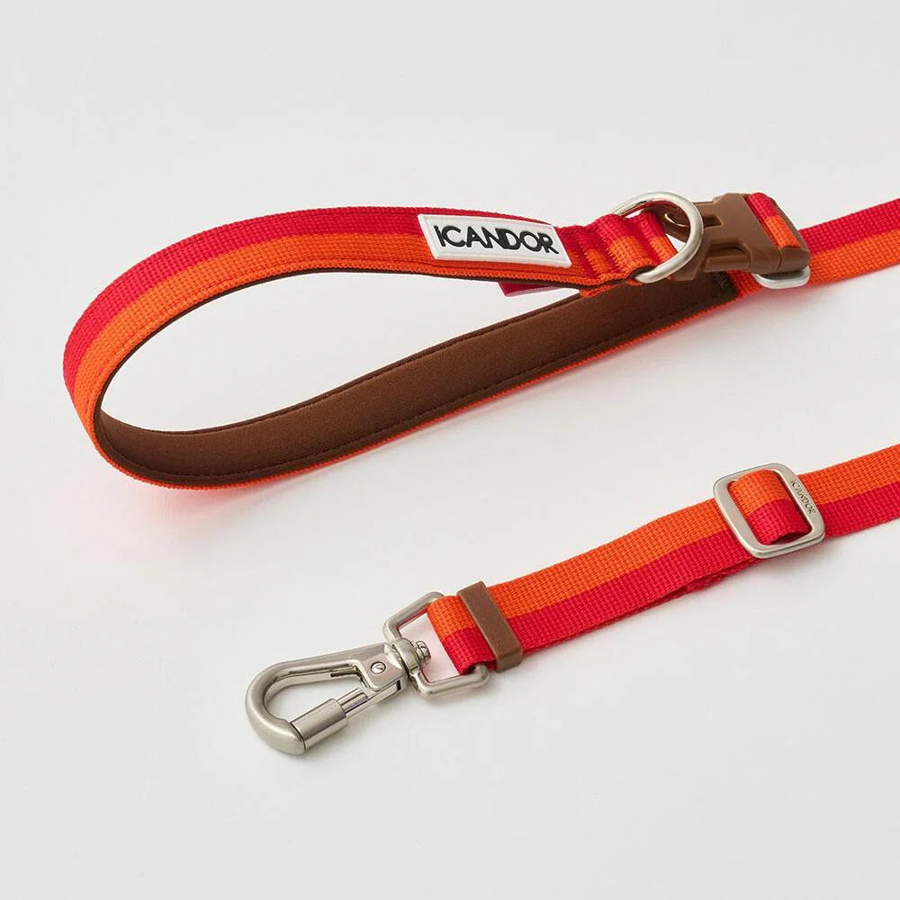Laisse multi-positions Gentle Leash Bolt Long Sunset