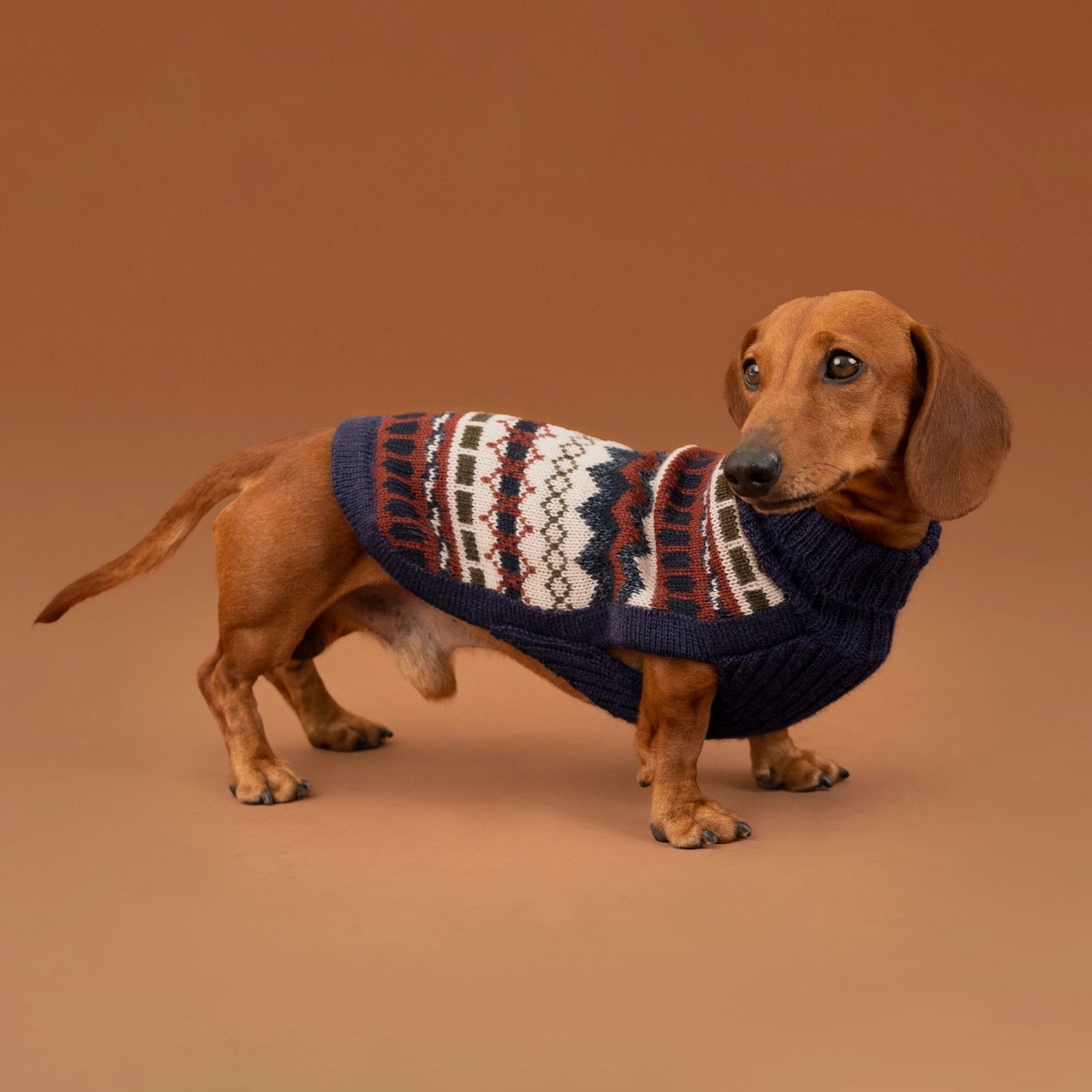 Pull pour chien en alpaga Iceberg
