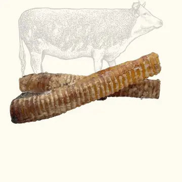 Trachées de bœuf pour chien 30 cm