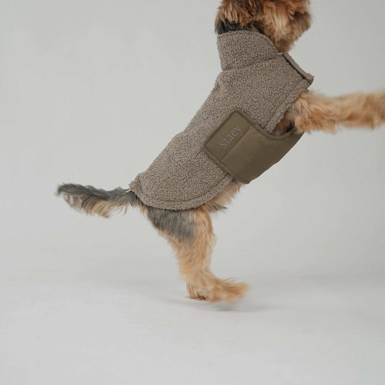 Manteau pour chien Teddy | Taupe