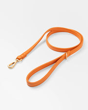 Laisse classique Orange résistante à l'eau