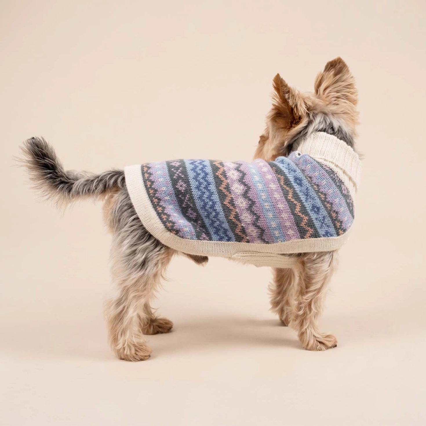 Pull pour chien en alpaga Cloudform