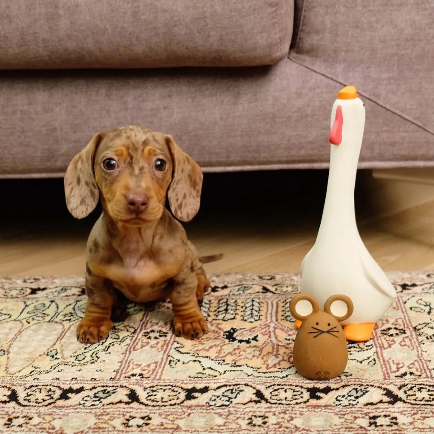 Poulet en latex Chick'n fun pour chiens et chats