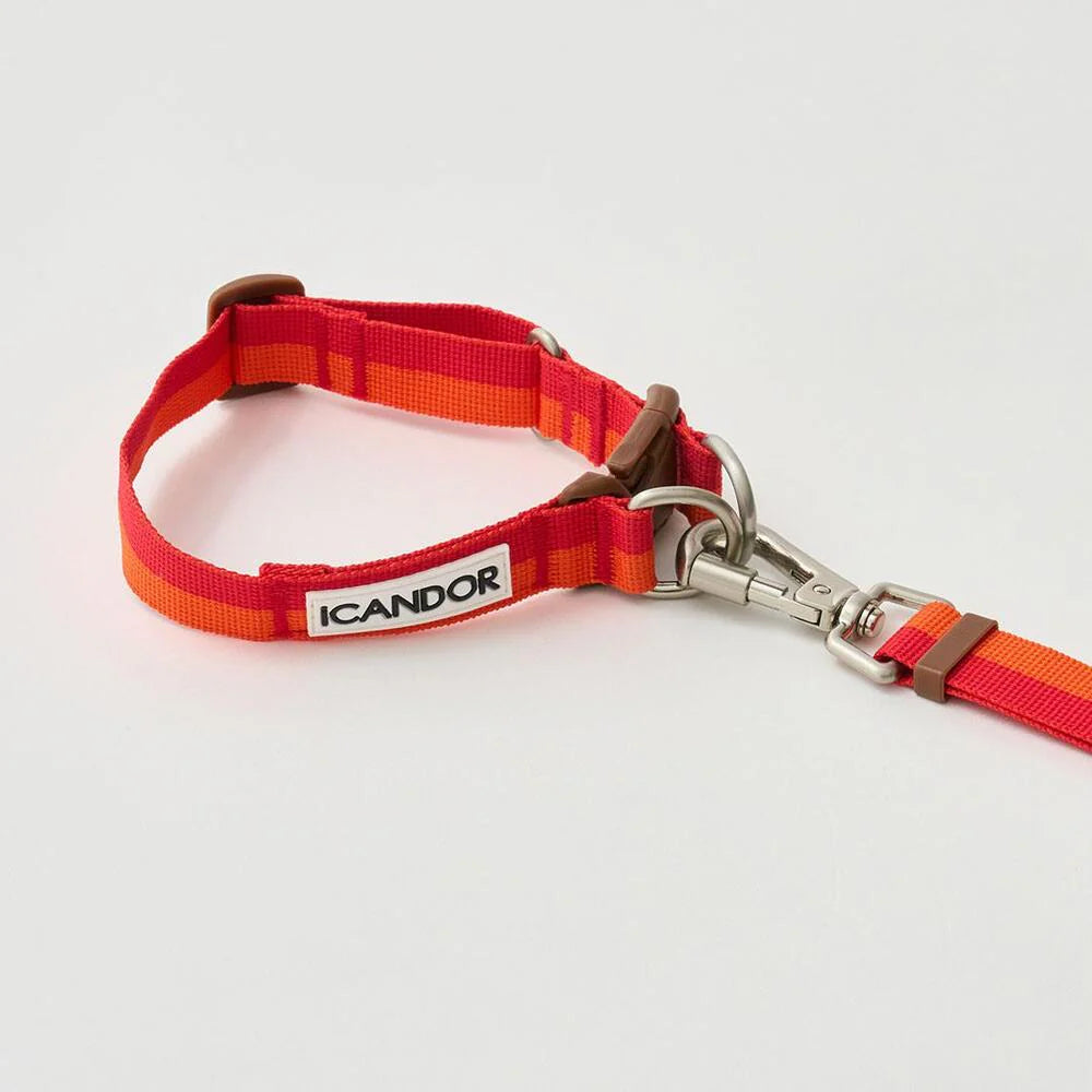Laisse multi-positions Gentle Leash Bolt Long Sunset