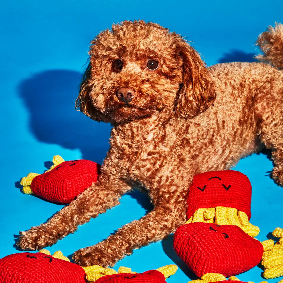 Jouet frites pour chien en tricot