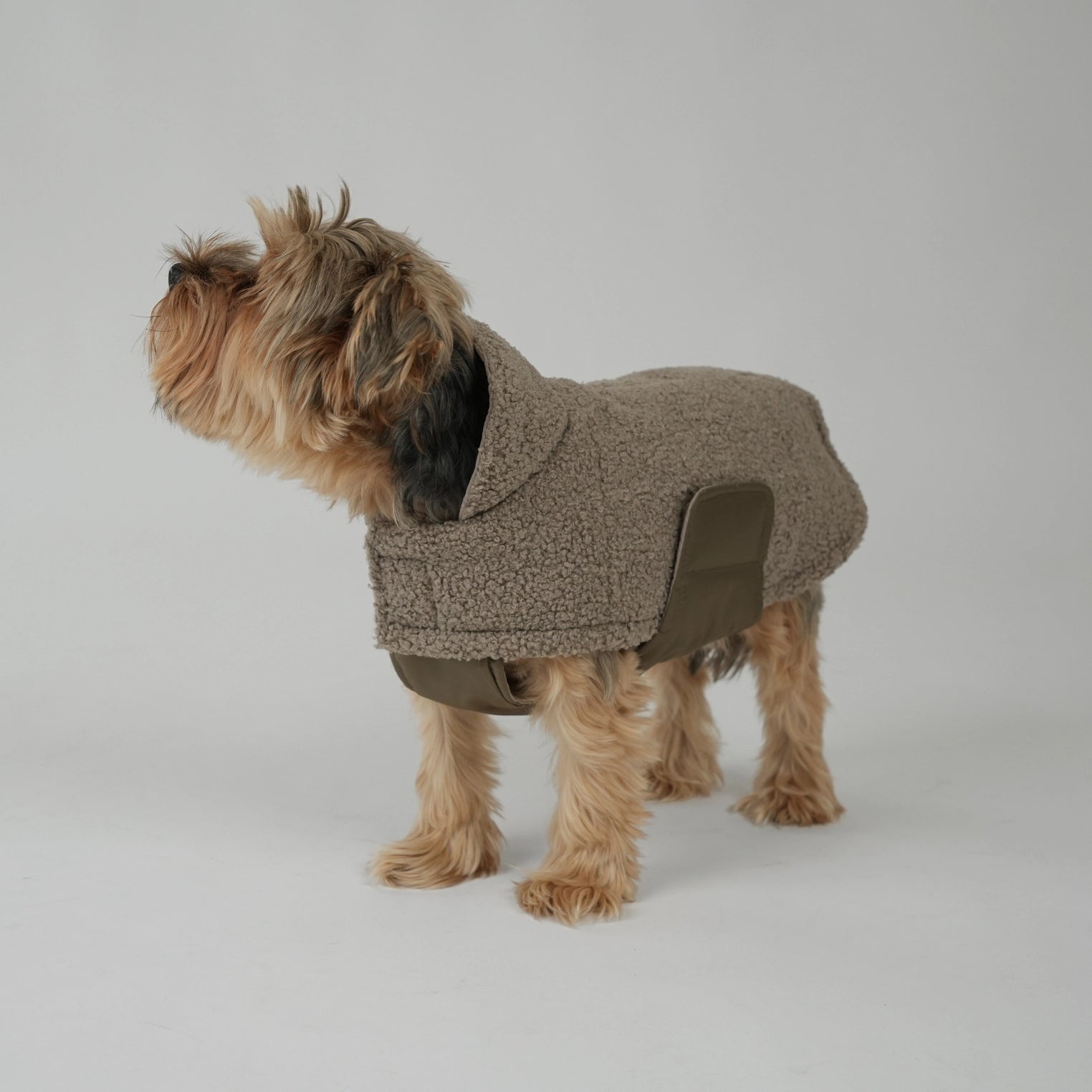Manteau pour chien Teddy | Taupe