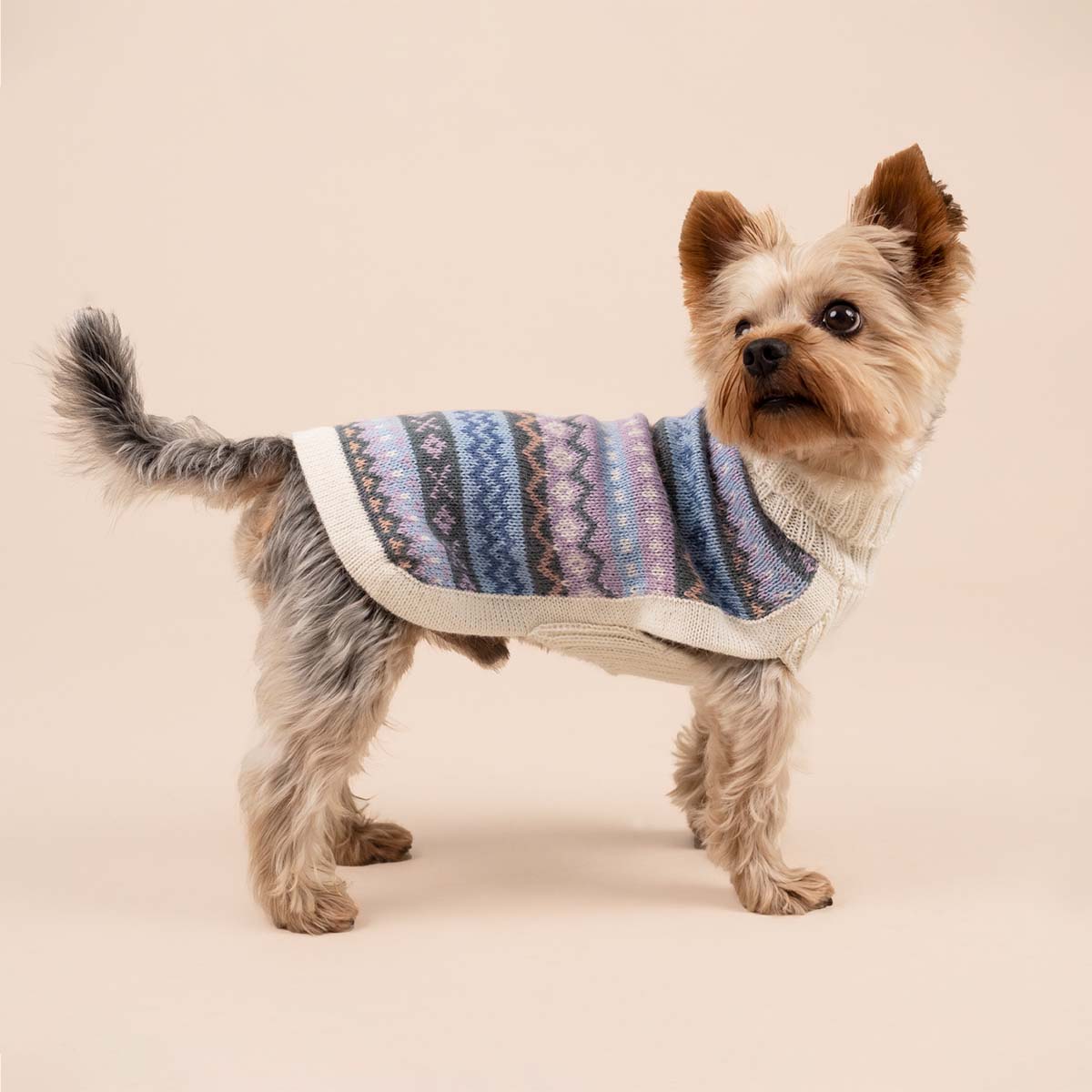 Pull pour chien en alpaga Cloudform
