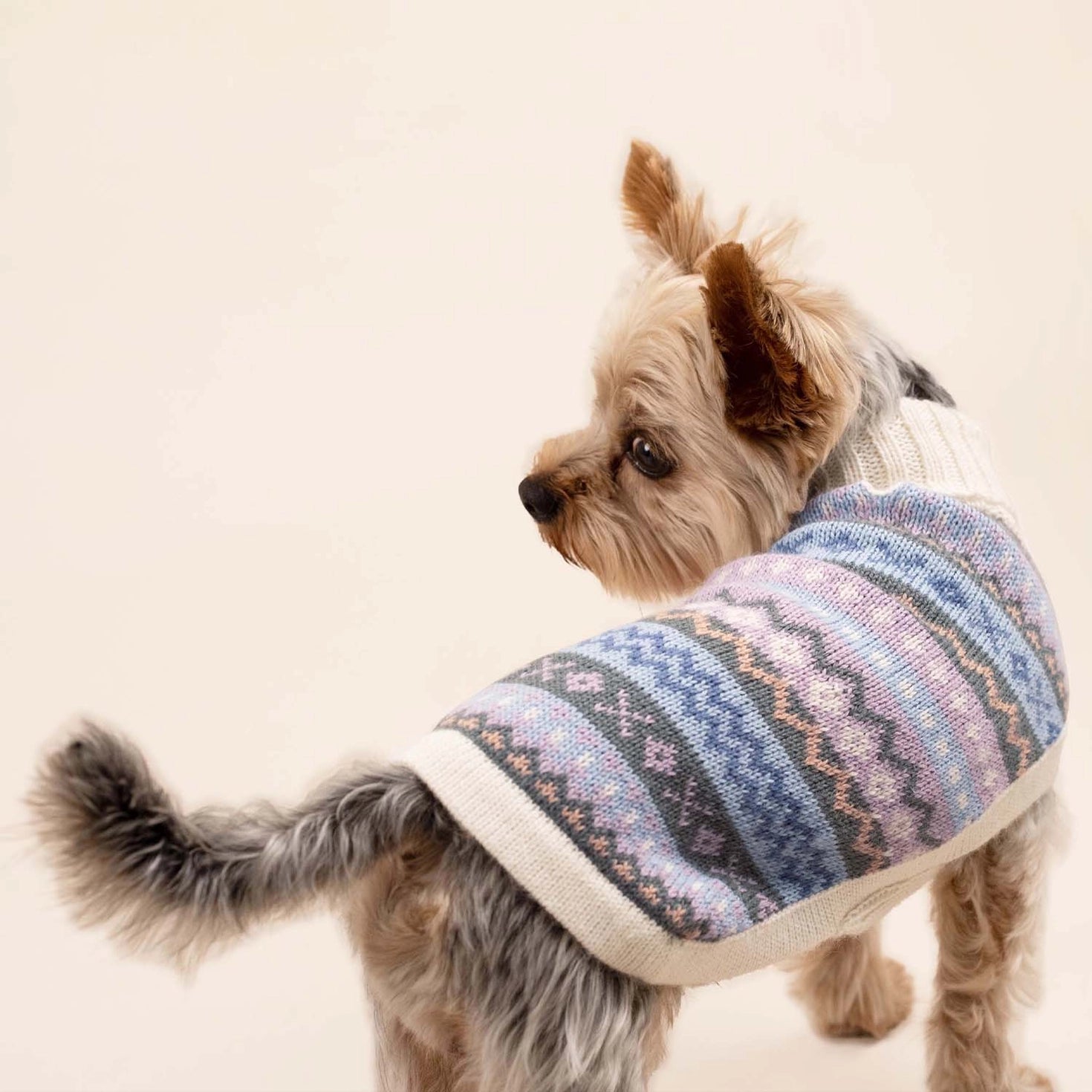 Pull pour chien en alpaga Cloudform