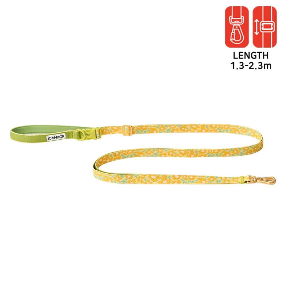 Laisse multi-positions Gentle Leash Bolt Long Big Fish