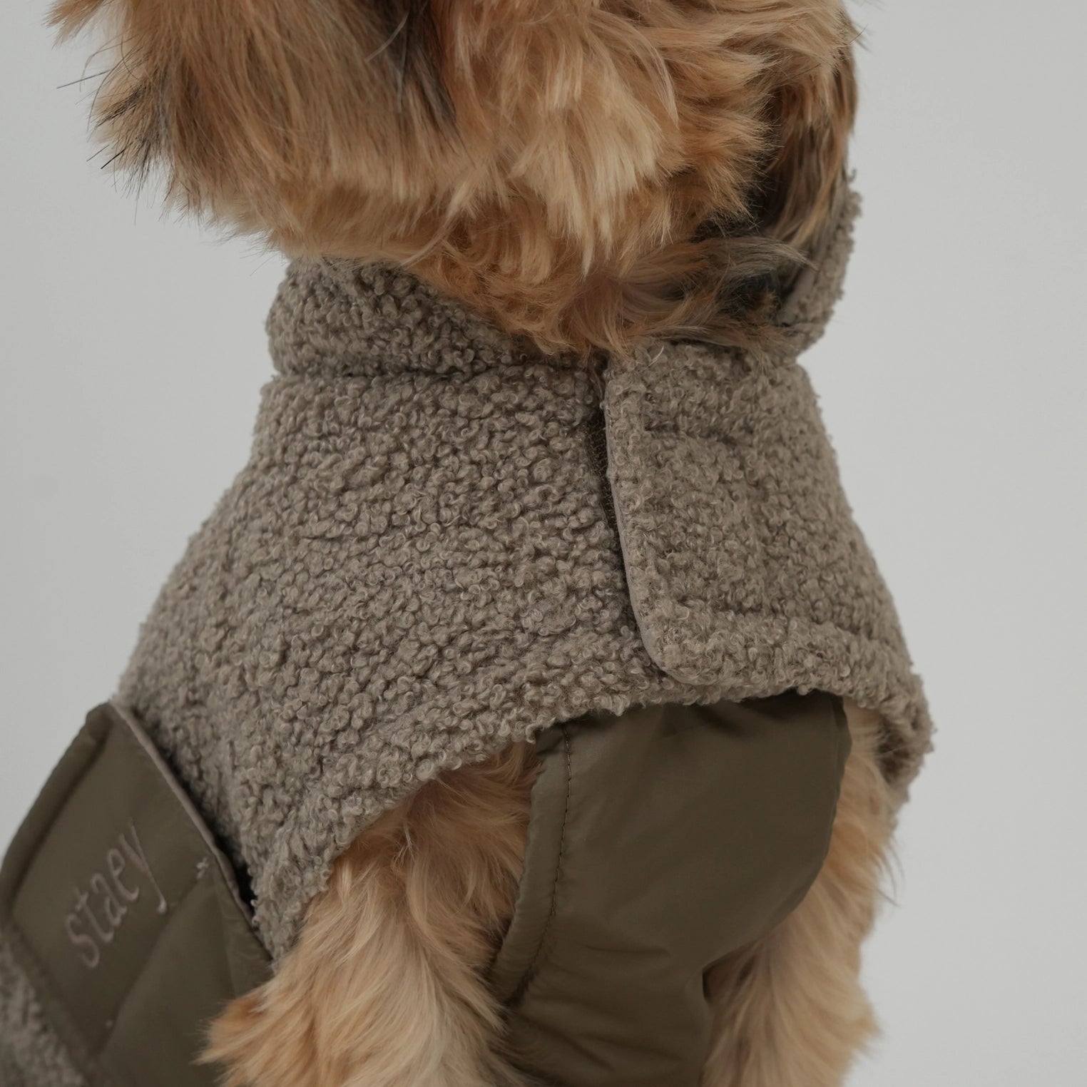 Manteau pour chien Teddy | Taupe