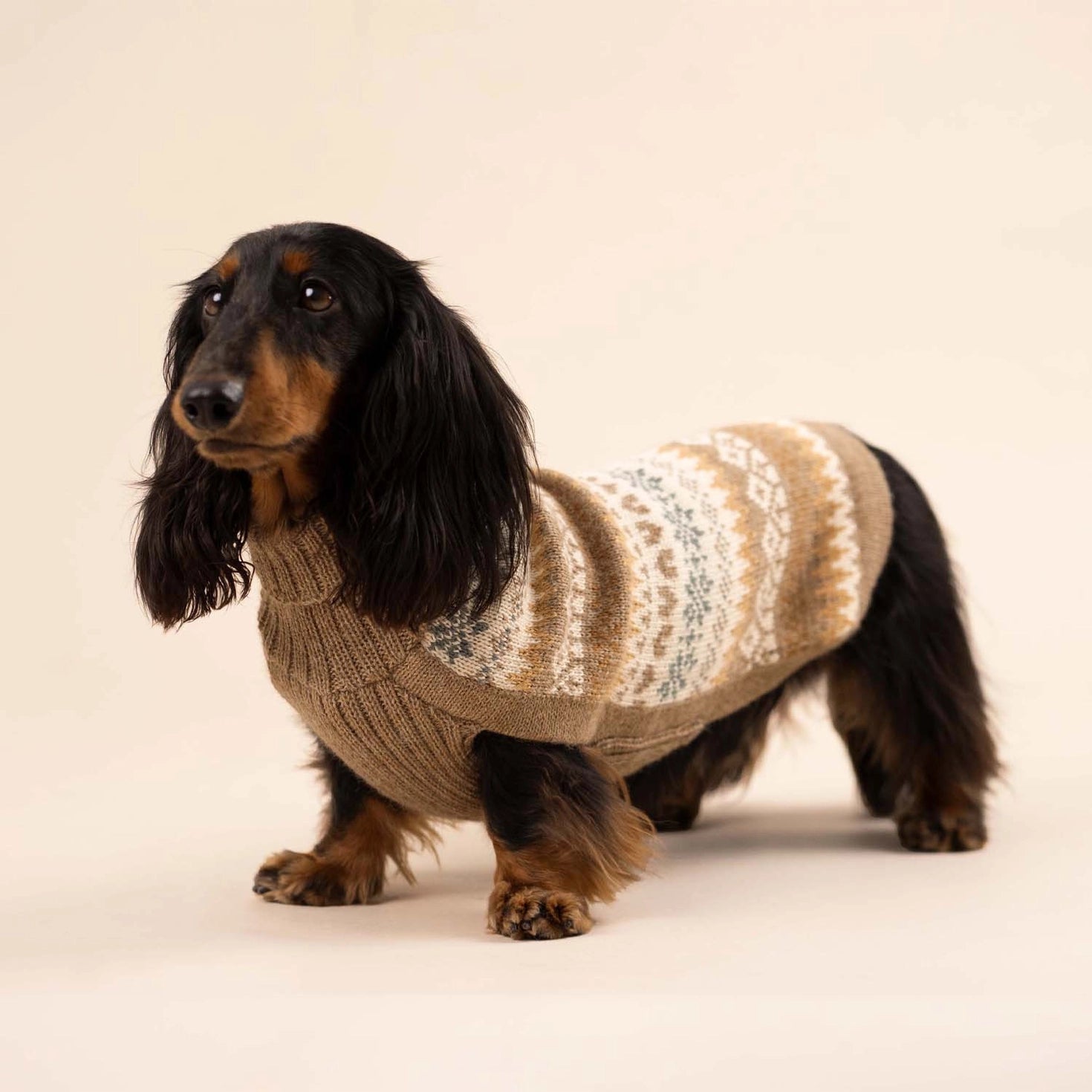 Pull pour chien en alpaga Automne