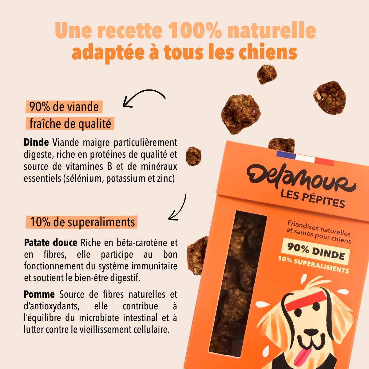 Friandises à la dinde Les Pépites