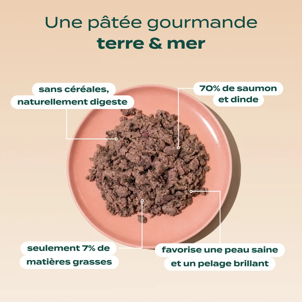 Pâtée pour chien - Saumon, Dinde et Canneberge