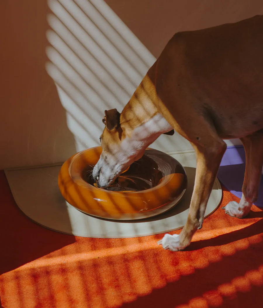 Gamelle en céramique