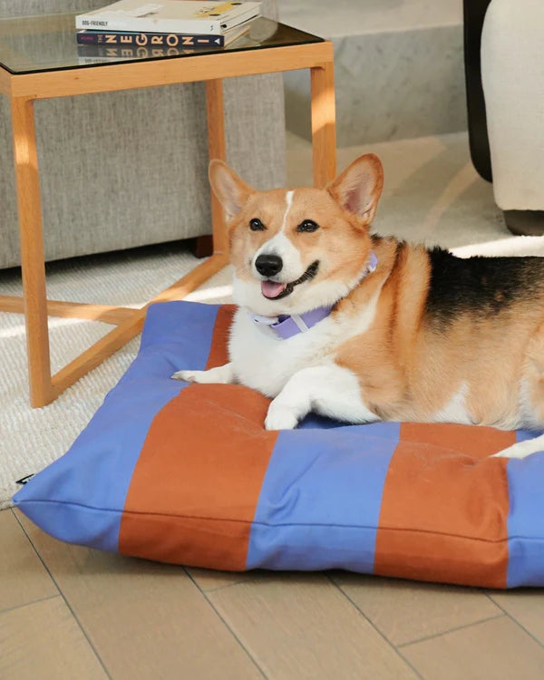 Lit coussin Approved by Fritz Mauve/Marron