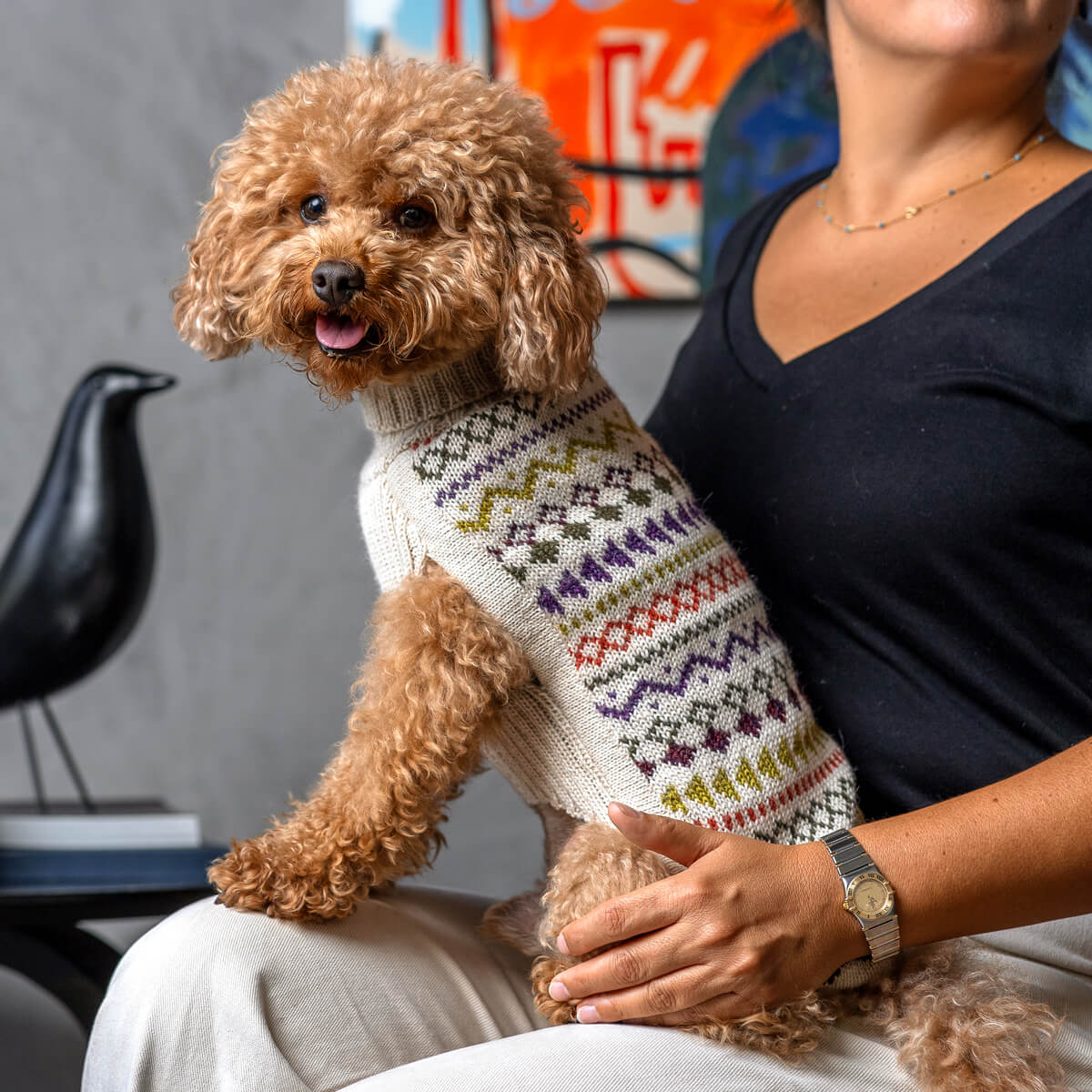 Pull pour chien en alpaga Tribal