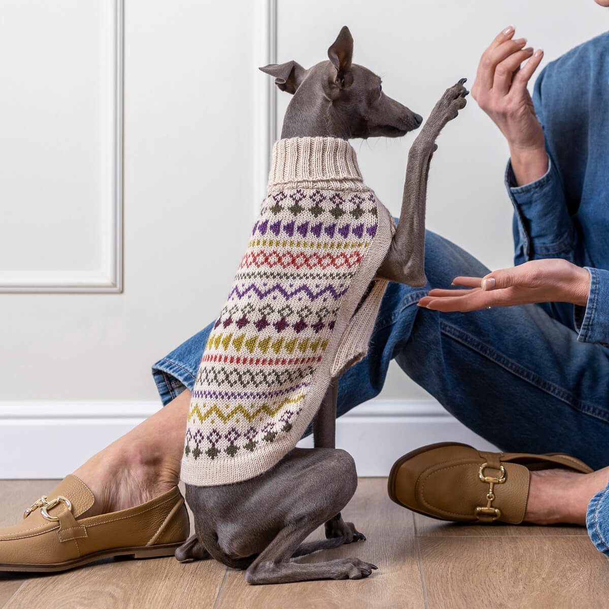 Pull pour chien en alpaga Tribal