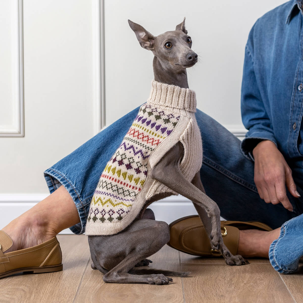 Pull pour chien en alpaga Tribal