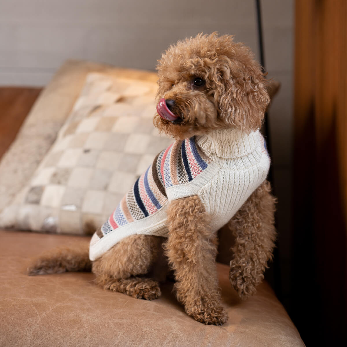 Pull pour chien en alpaga à rayures Blushline