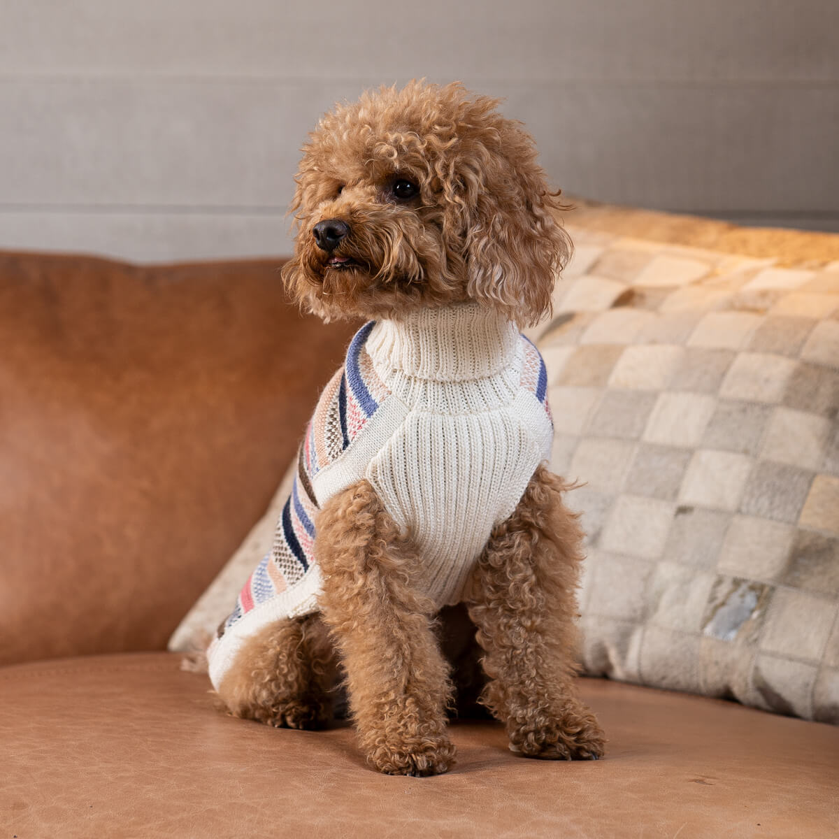 Pull pour chien en alpaga à rayures Blushline