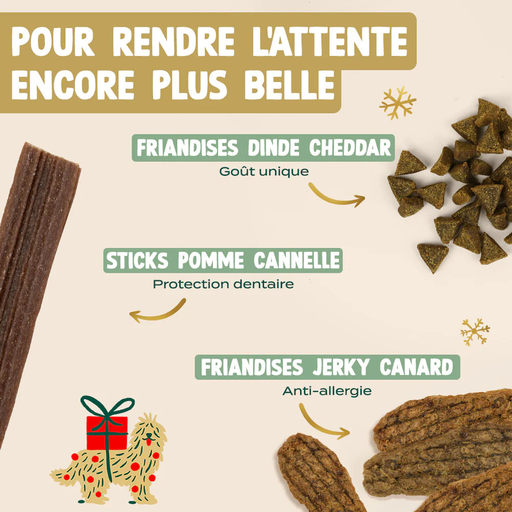 Calendrier de l'Avent Noël 25