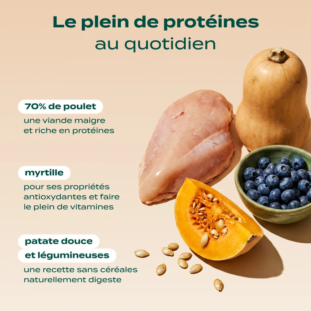 Croquettes sans céréales au poulet - 2,5kg