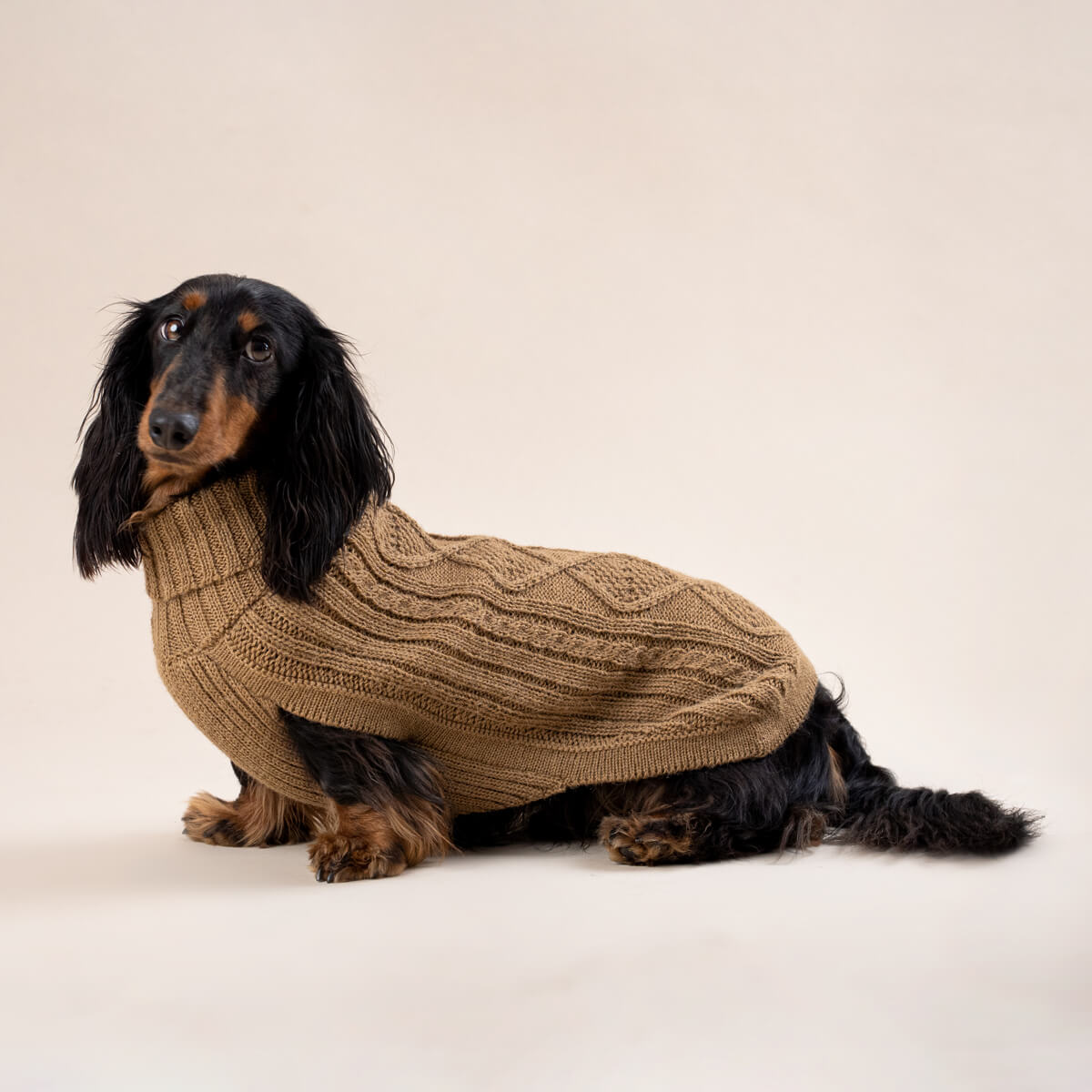 Pull pour chien en alpaga Camel Aran