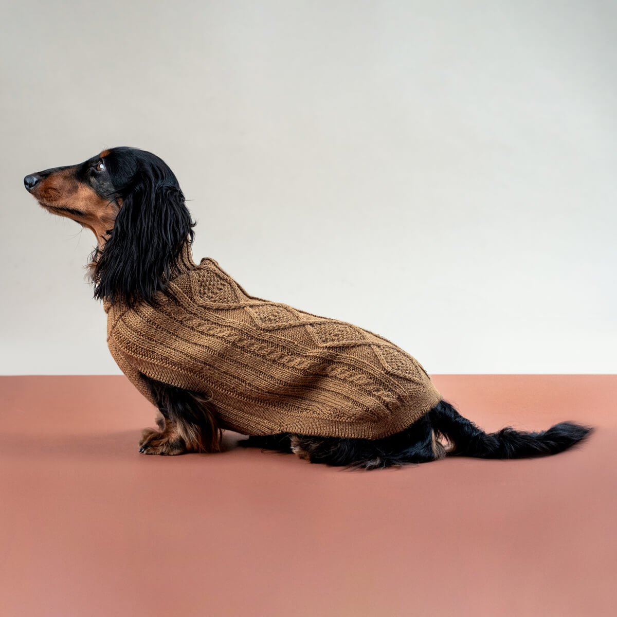 Pull pour chien en alpaga Camel Aran