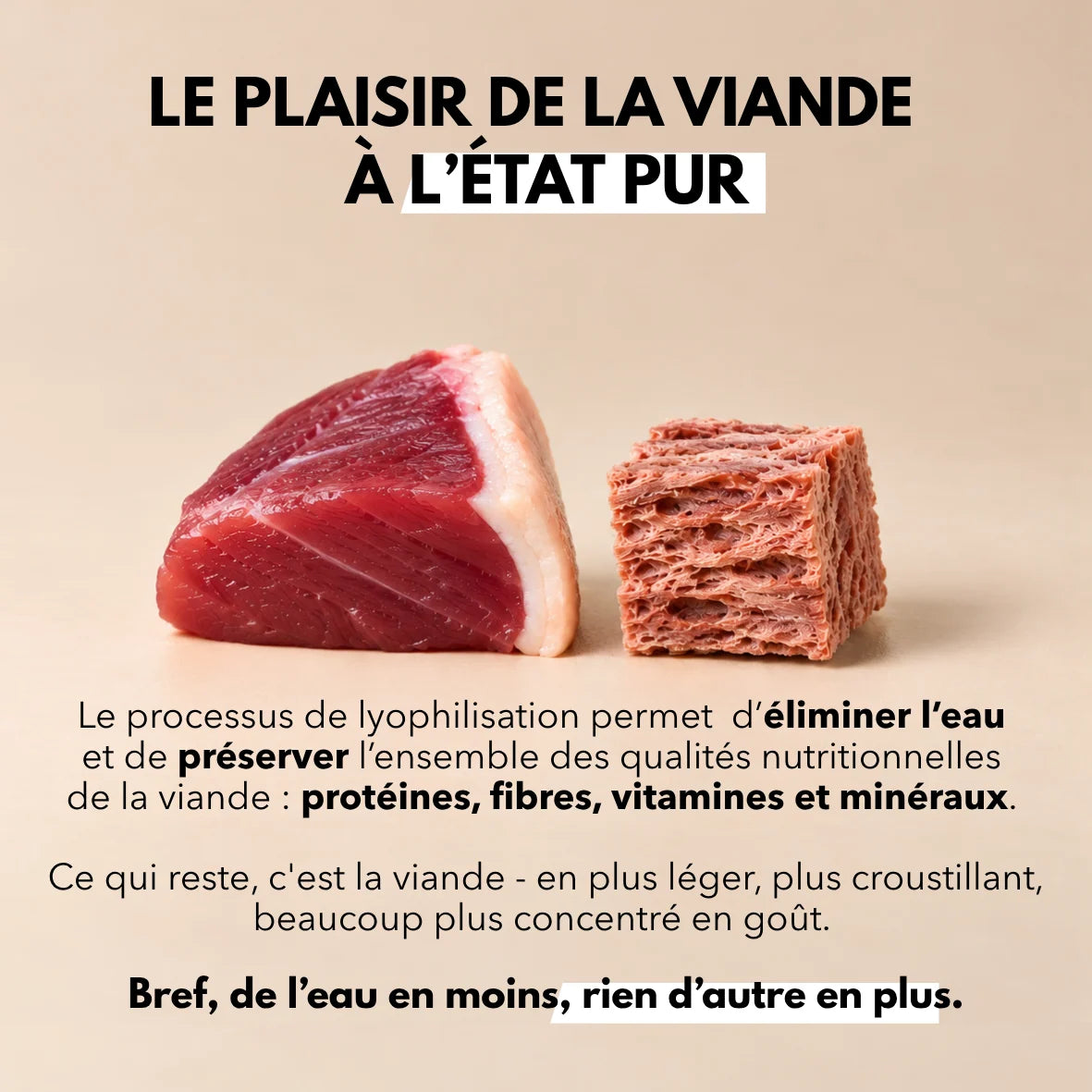 Les Lyophilisées - Canard