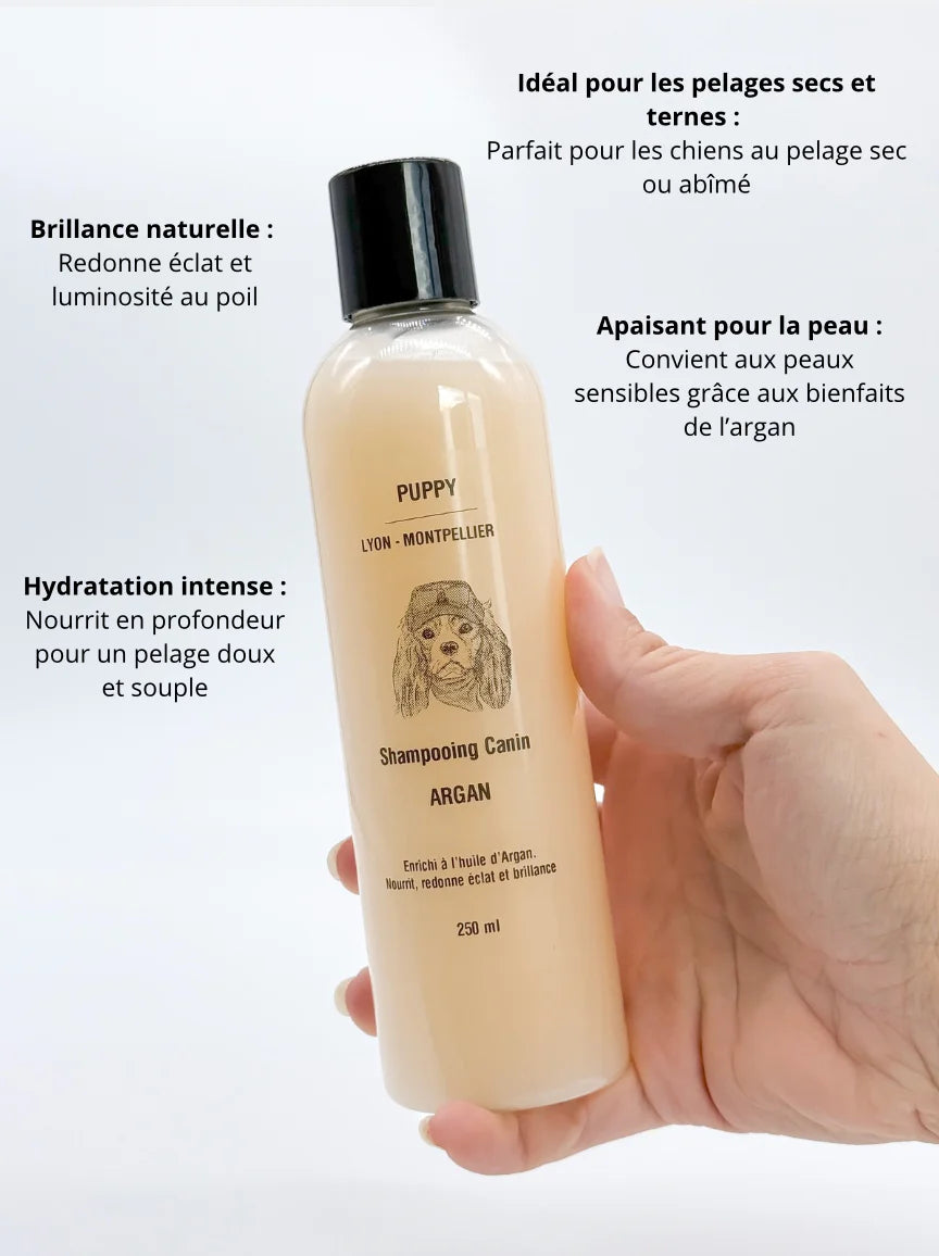 Shampoing à l'Argan