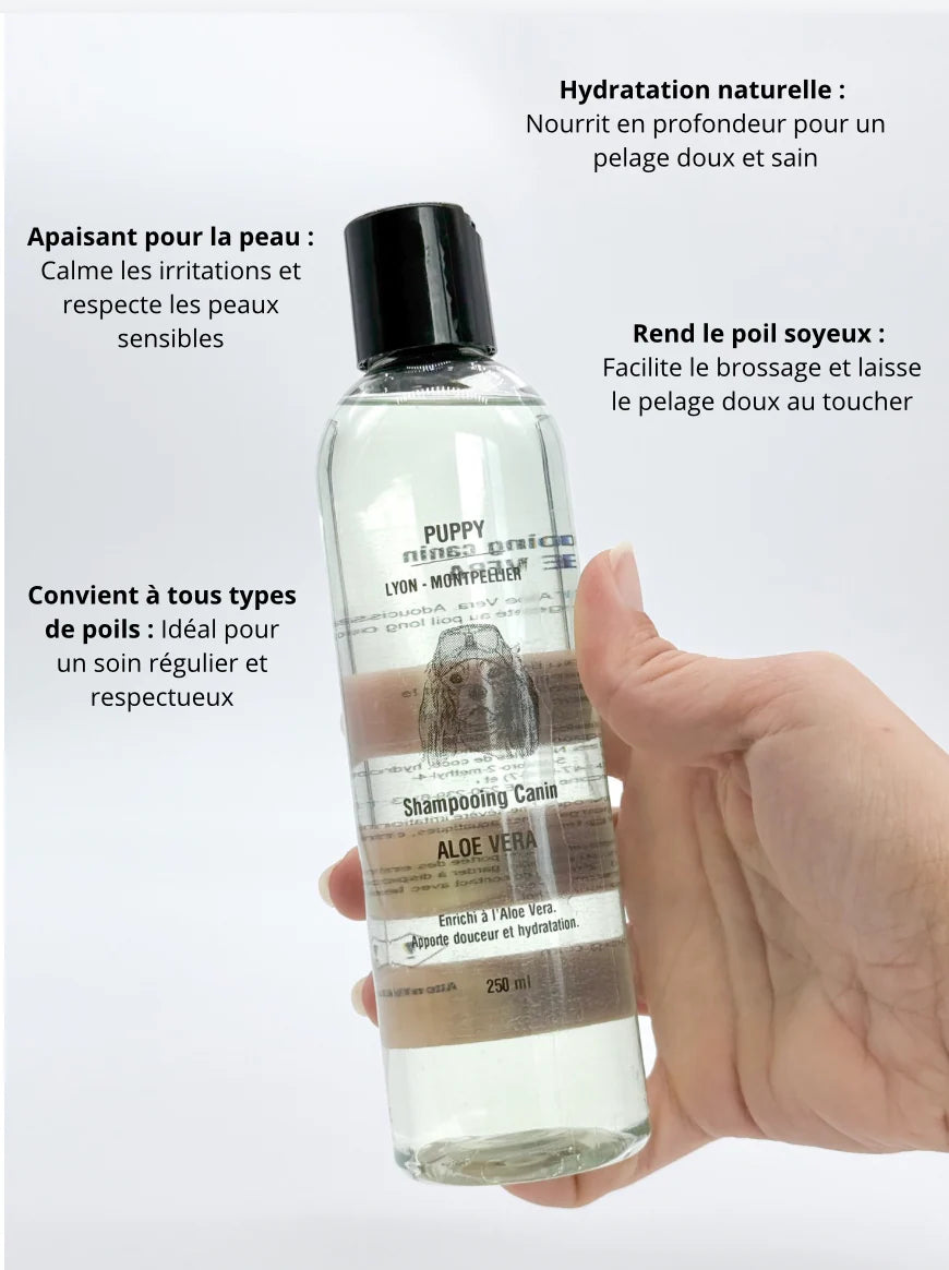 Shampoing Aloe-vera