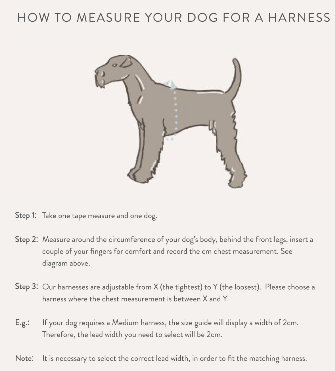 Harnais Clara Check Ring - vichy Celeste Mint