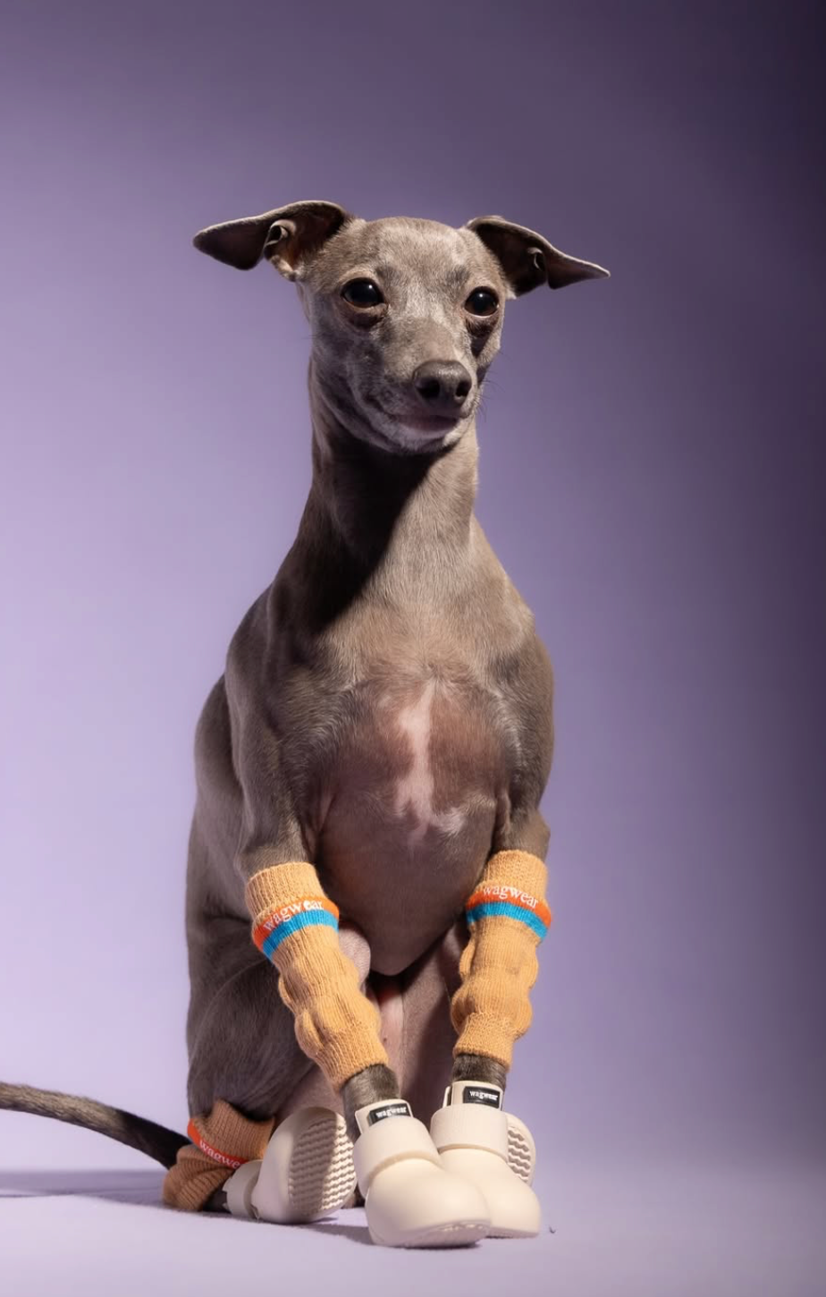 Chaussures WagWellies® by Wagwear CHOCOLAT