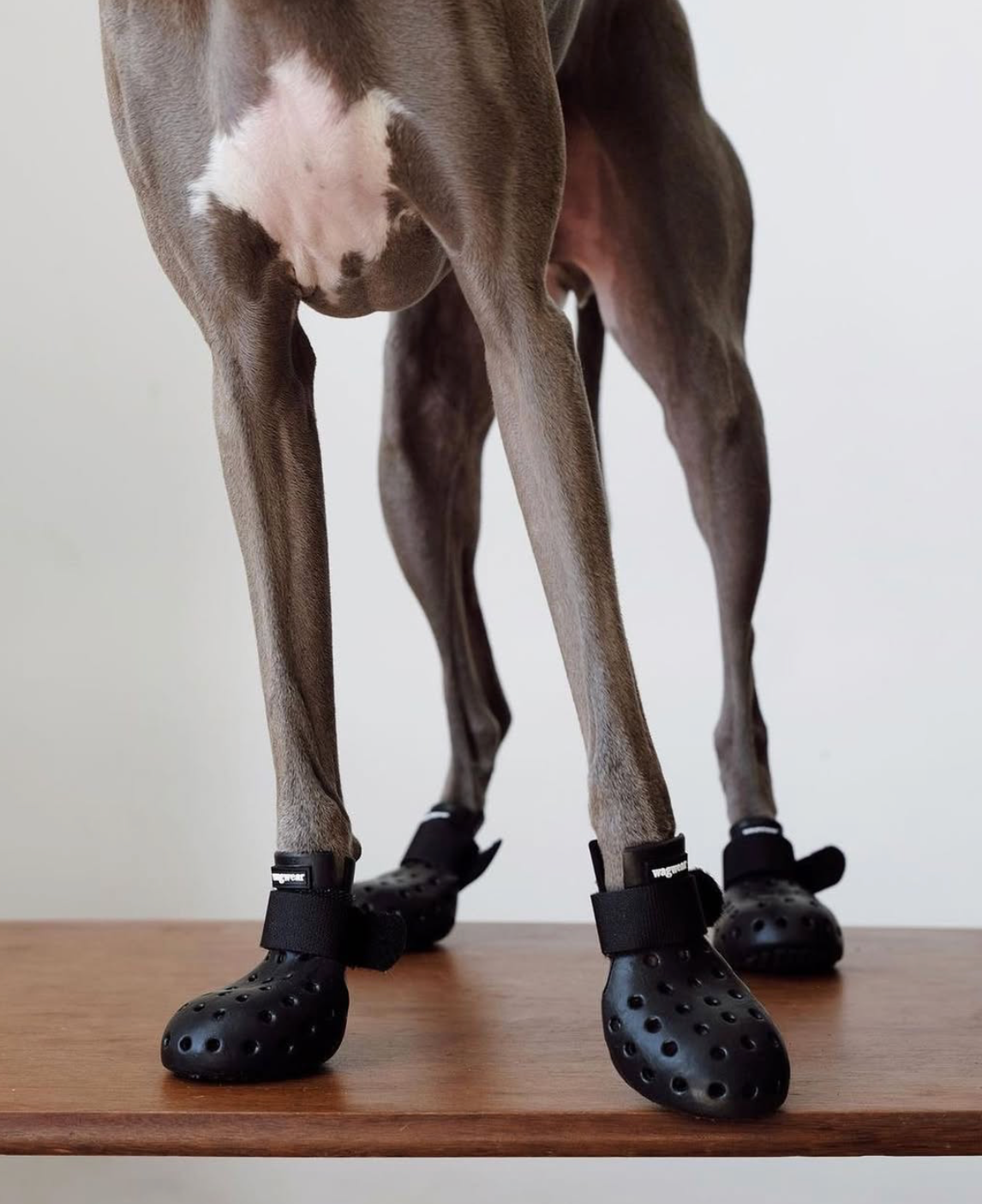 Chaussures WagWellies® Mojave CHOCOLAT