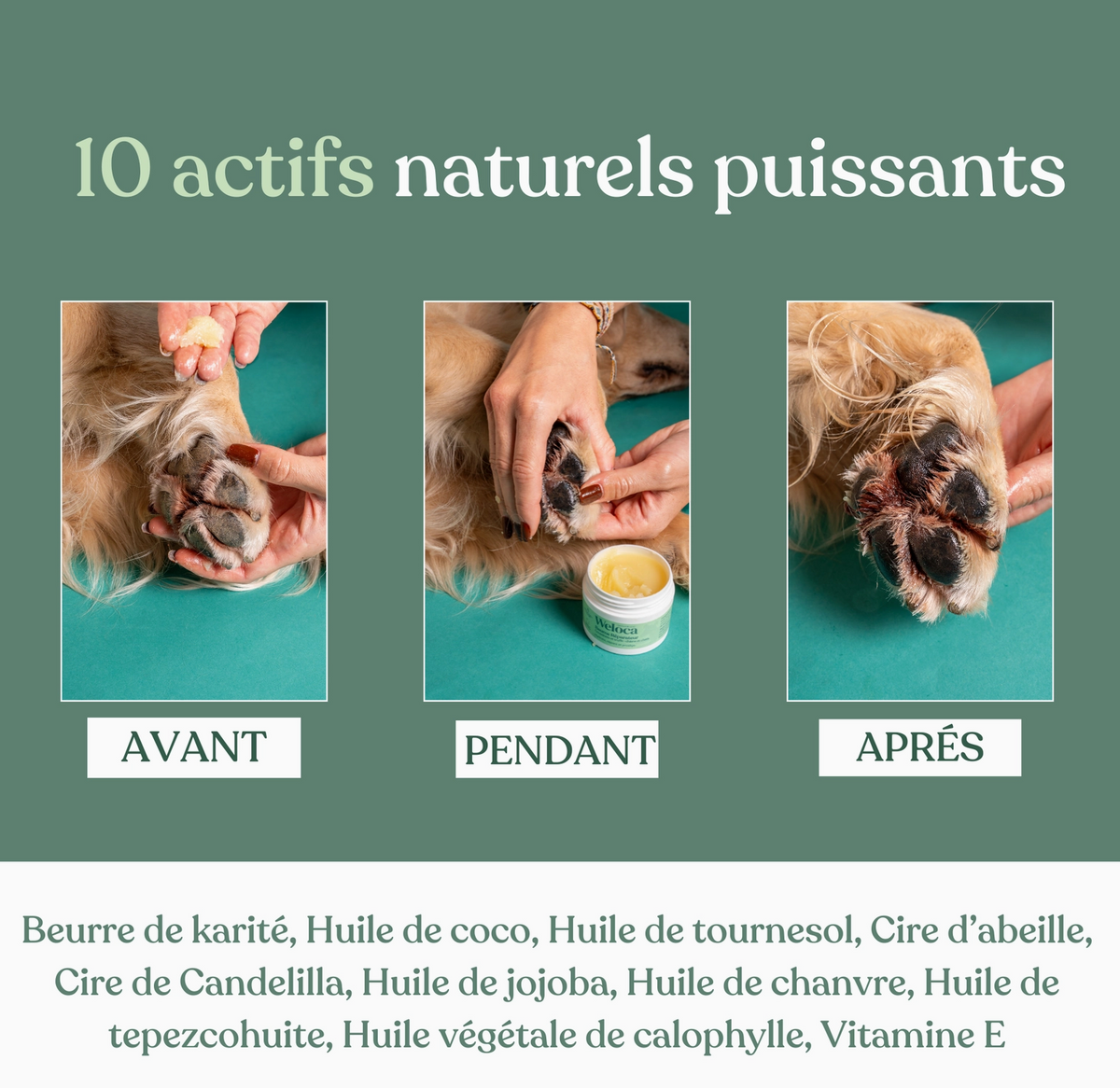 Baume naturel réparateur coussinets & truffe | Chien et chat