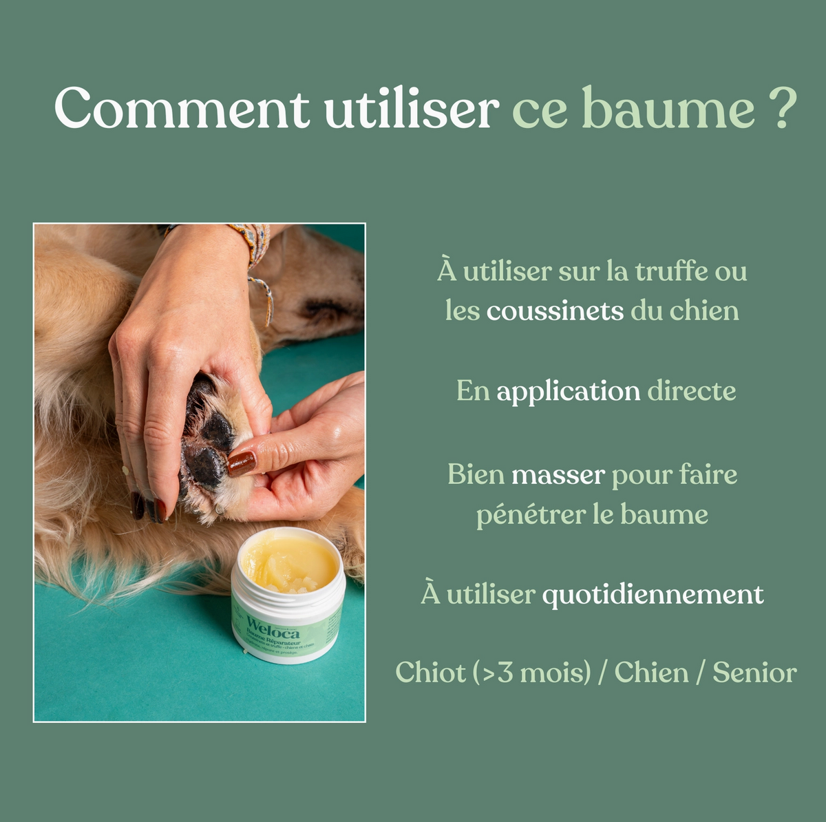 Baume naturel réparateur coussinets & truffe | Chien et chat
