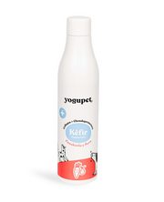 Kéfir pour chien et chat carottes et poires