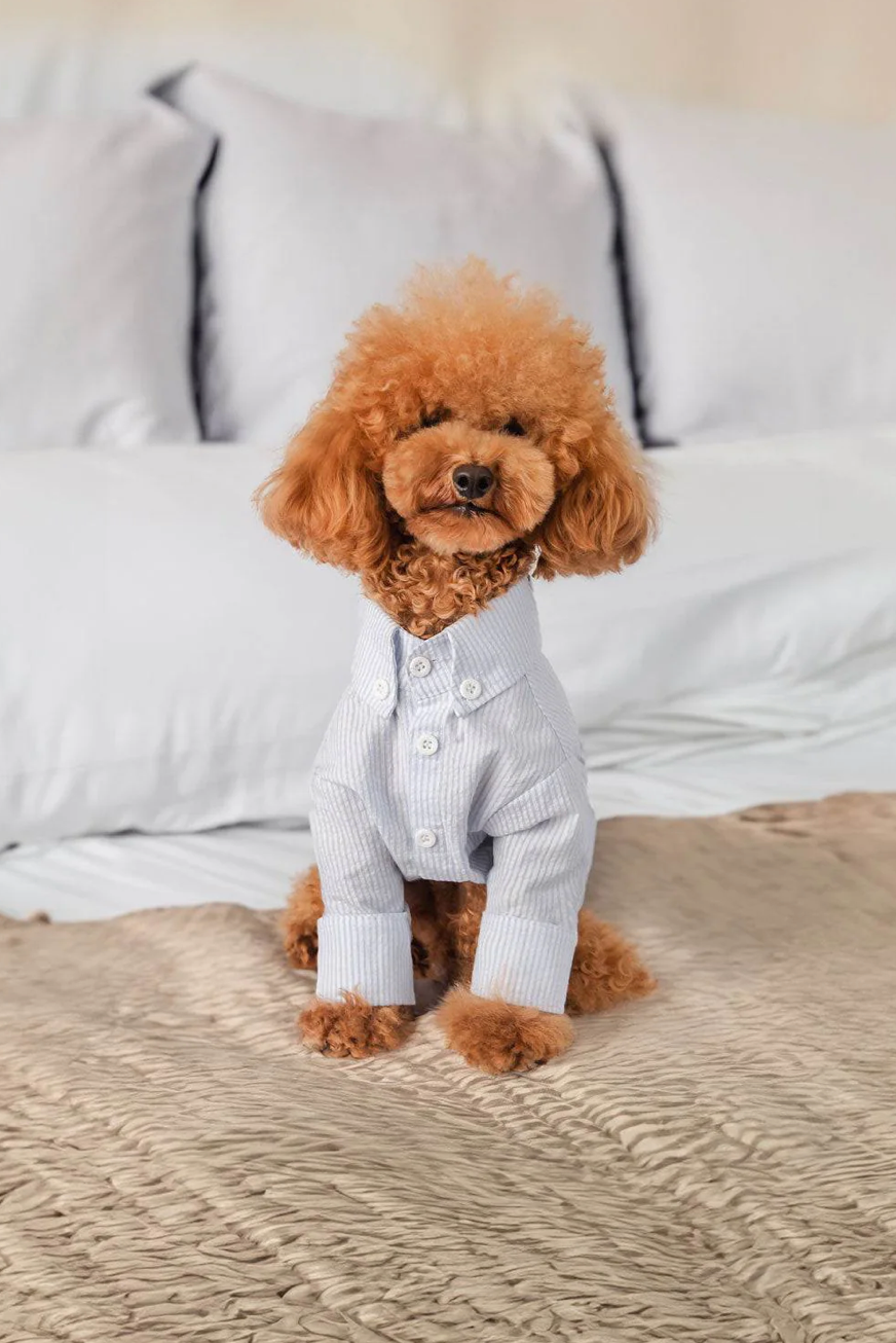 Chemise pour chien à rayures